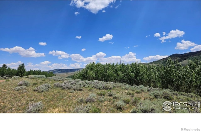 80 Trapper Ct, Jelm, CO 80545 - photo 5