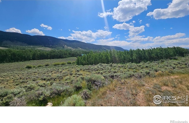80 Trapper Ct, Jelm, CO 80545 - photo 6