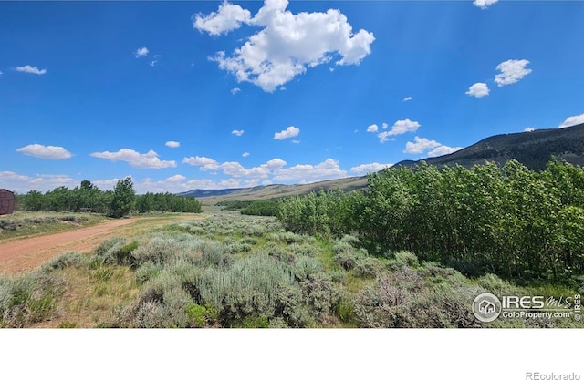 80 Trapper Ct, Jelm, CO 80545 - photo 8