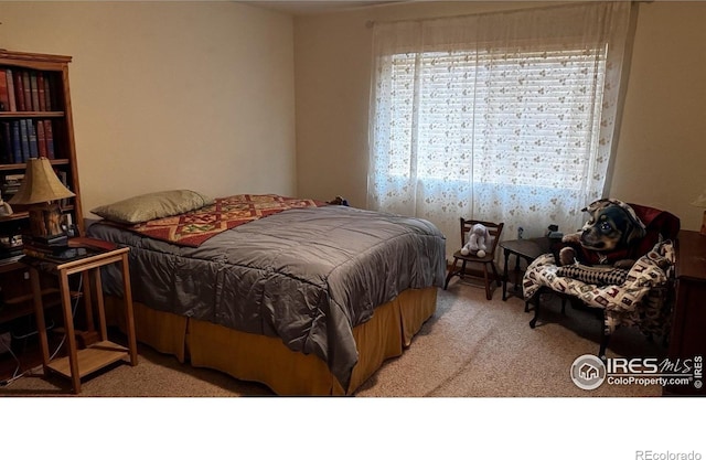 2072 Lily Dr, Loveland, CO 80537 - view of carpeted bedroom