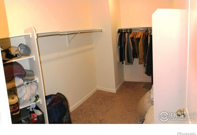 245 Swallow Rd, Johnstown, CO 80534 - photo 8