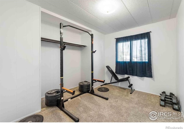 1902 Diana Dr, Loveland, CO 80537 - photo 16