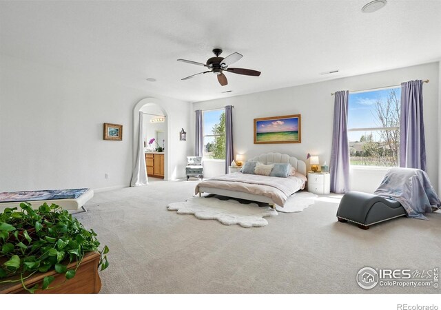 665 Glenarbor Cir, Longmont, CO 80504 - bedroom with ceiling fan, visible vents, arched walkways, carpet floors, and baseboards
