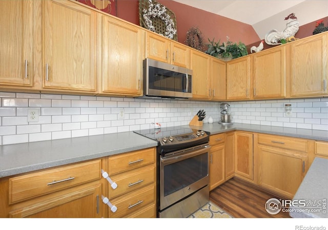 kitchen featuring tasteful backsplash, stainless steel appliances, and dark wood-style floors