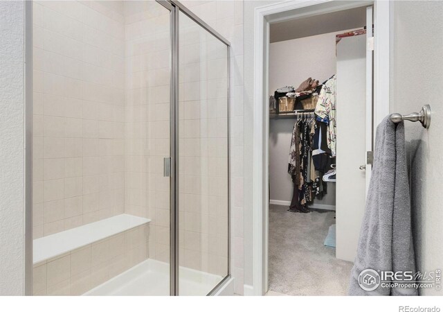 719 Wagon Bend Rd, Berthoud, CO 80513 - bathroom with baseboards, a walk in closet, and a stall shower