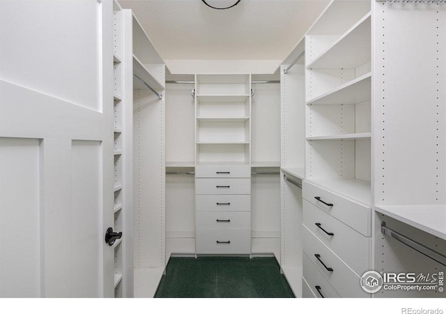 spacious closet with dark carpet
