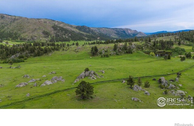 0 Old Flowers Rd, Bellvue, CO 80512 - photo 3