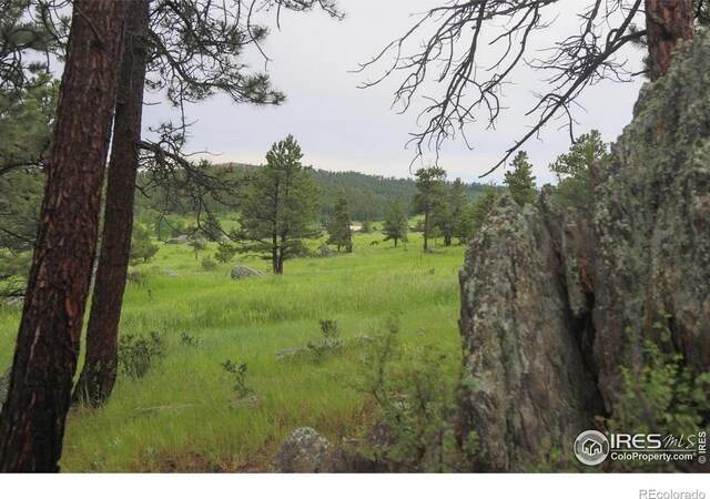 0 Old Flowers Rd, Bellvue, CO 80512 - photo 7