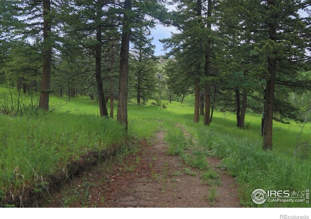 0 Old Flowers Rd, Bellvue, CO 80512 - photo 9