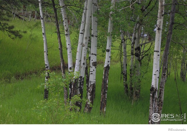 0 Old Flowers Rd, Bellvue, CO 80512 - photo 12