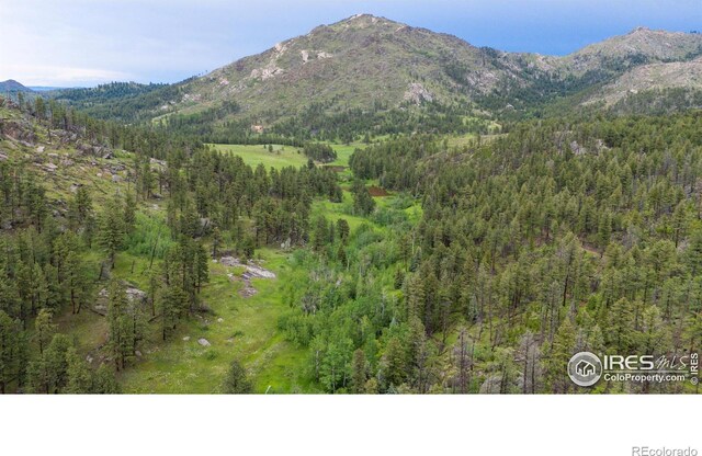 0 Old Flowers Rd, Bellvue, CO 80512 - photo 15