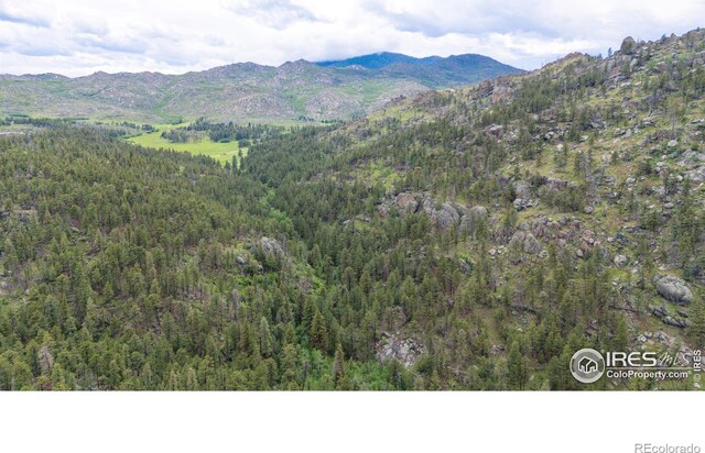 0 Old Flowers Rd, Bellvue, CO 80512 - photo 19