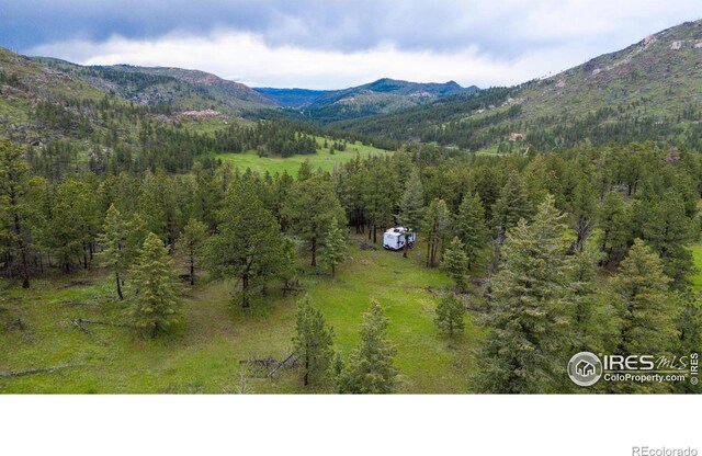 0 Old Flowers Rd, Bellvue, CO 80512 - photo 25