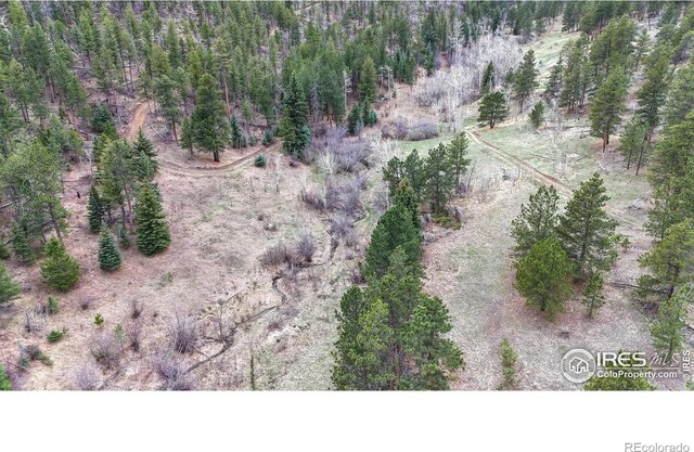 0 Old Flowers Rd, Bellvue, CO 80512 - photo 31