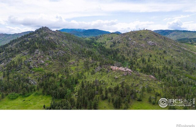 0 Old Flowers Rd, Bellvue, CO 80512 - photo 33