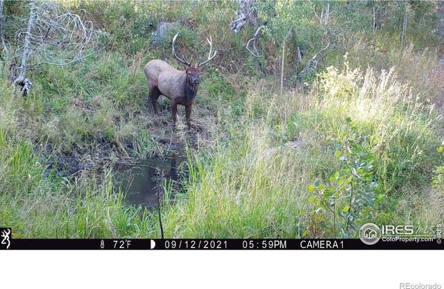 0 Old Flowers Rd, Bellvue, CO 80512 - photo 34