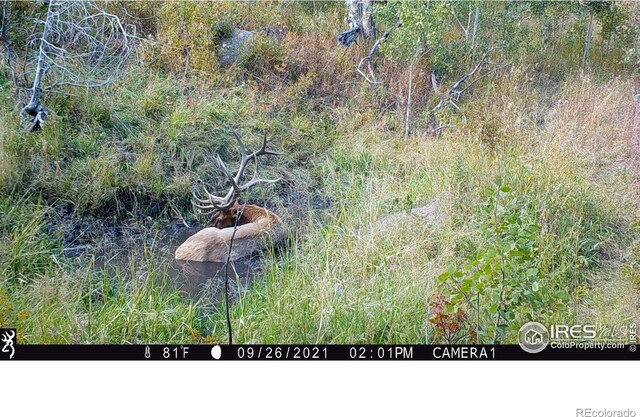 0 Old Flowers Rd, Bellvue, CO 80512 - photo 35