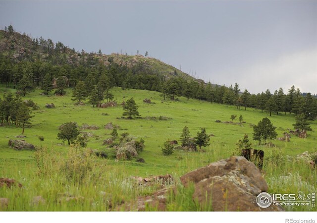 0 Old Flowers Rd, Bellvue, CO 80512 - photo 38