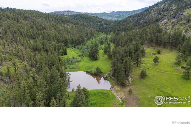 0 Old Flowers Rd, Bellvue, CO 80512 - photo 39