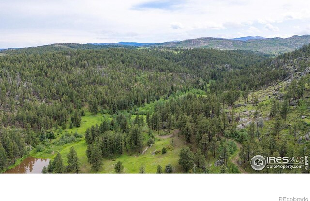 0 Old Flowers Rd, Bellvue, CO 80512 - photo 40