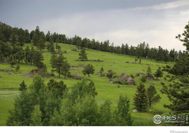 0 Old Flowers Rd, Bellvue, CO 80512 - photo 2