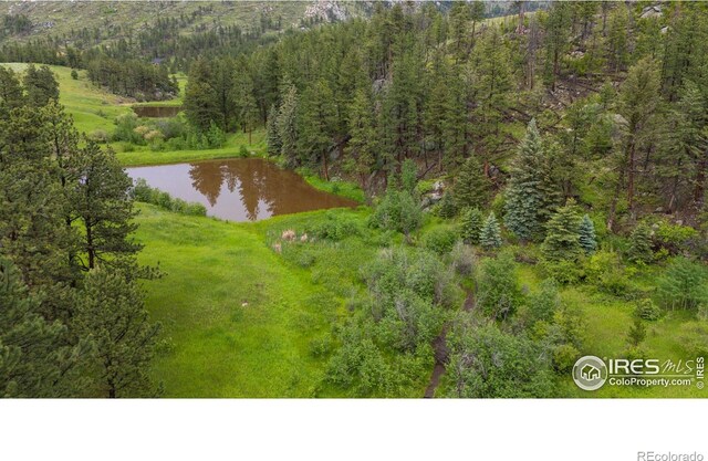 0 Old Flowers Rd, Bellvue, CO 80512 - photo 5