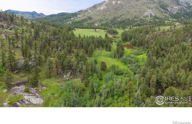 0 Old Flowers Rd, Bellvue, CO 80512 - photo 8