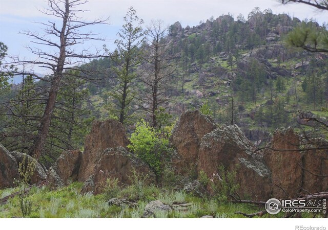 0 Old Flowers Rd, Bellvue, CO 80512 - photo 14