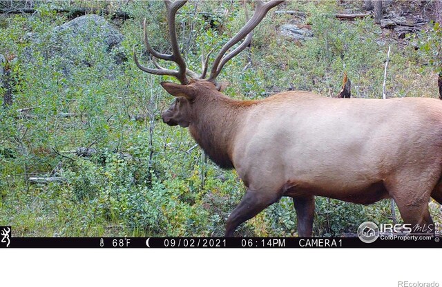0 Old Flowers Rd, Bellvue, CO 80512 - photo 17