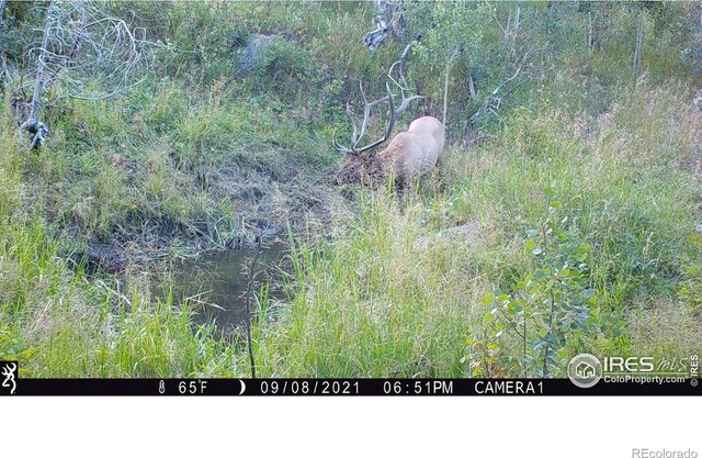 0 Old Flowers Rd, Bellvue, CO 80512 - photo 18