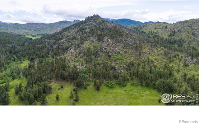 0 Old Flowers Rd, Bellvue, CO 80512 - photo 20
