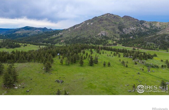 0 Old Flowers Rd, Bellvue, CO 80512 - photo 23