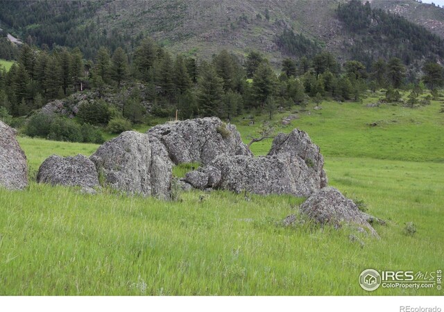 0 Old Flowers Rd, Bellvue, CO 80512 - photo 24