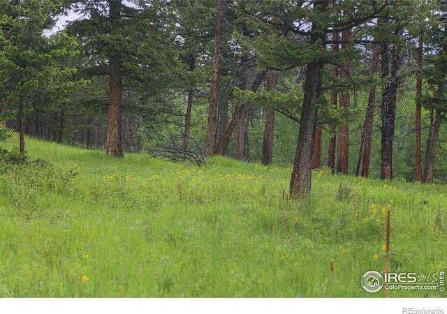 0 Old Flowers Rd, Bellvue, CO 80512 - photo 26