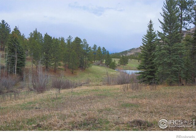 0 Old Flowers Rd, Bellvue, CO 80512 - photo 28