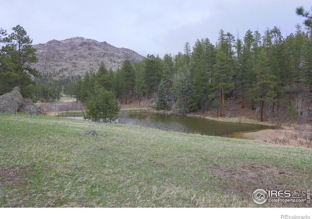 0 Old Flowers Rd, Bellvue, CO 80512 - photo 29