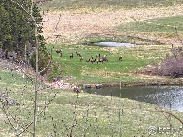 0 Old Flowers Rd, Bellvue, CO 80512 - photo 30