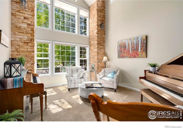 5442 Tiller Ct, Windsor, CO 80528 - interior space featuring carpet flooring, baseboards, plenty of natural light, and a towering ceiling