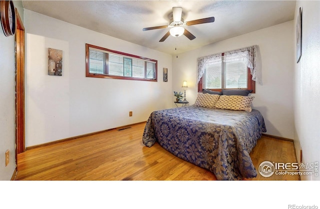 1534 28th Avenue Ct, Greeley, CO 80634 - photo 12