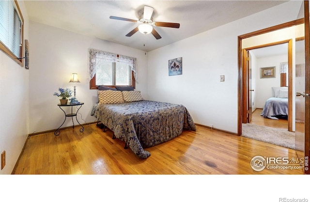 1534 28th Avenue Ct, Greeley, CO 80634 - photo 13