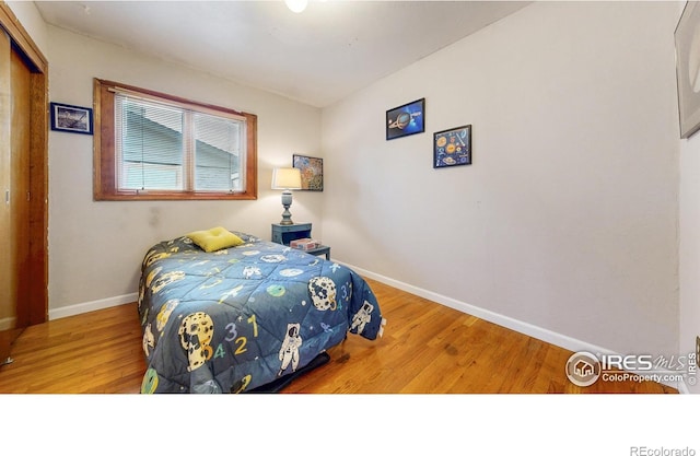 1534 28th Avenue Ct, Greeley, CO 80634 - photo 16
