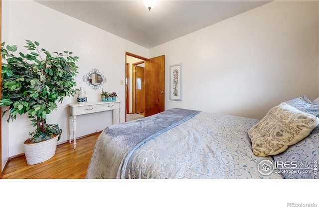 1534 28th Avenue Ct, Greeley, CO 80634 - photo 18