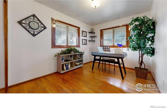 1534 28th Avenue Ct, Greeley, CO 80634 - photo 20