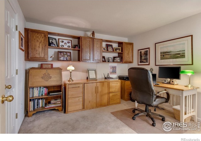 office area with light colored carpet