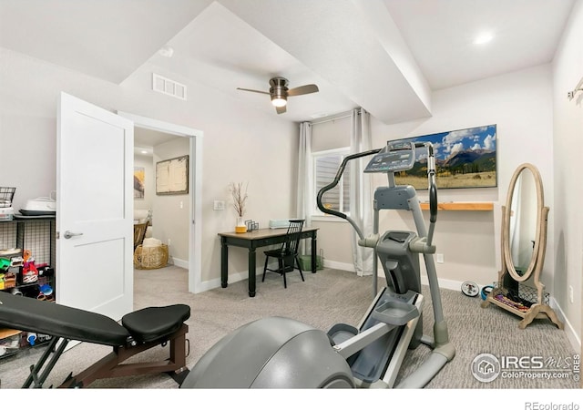 1977 Shadow Lake Ct, Windsor, CO 80550