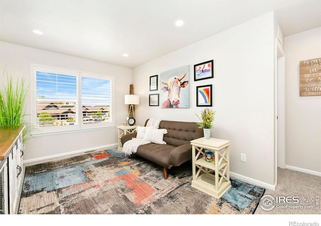 1977 Shadow Lake Ct, Windsor, CO 80550 - sitting room with baseboards and recessed lighting