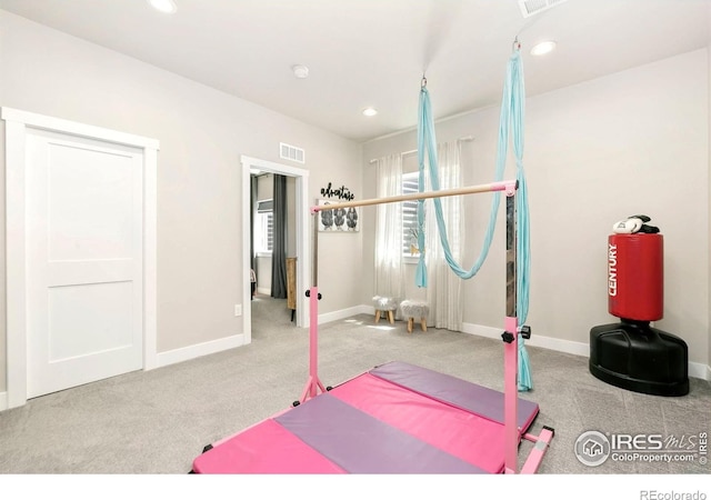 1977 Shadow Lake Ct, Windsor, CO 80550 - workout area with carpet, baseboards, and recessed lighting