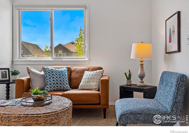 3812 Howe Ct, Boulder, CO 80301 - carpeted living area featuring plenty of natural light and baseboards