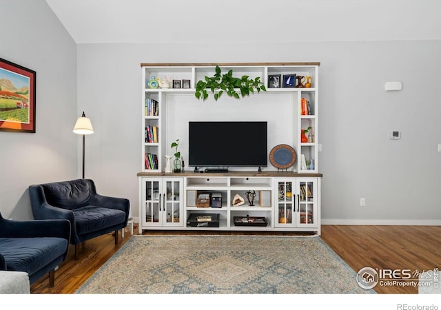 1689 Maseca Plaza Way, Severance, CO 80550 - living area with baseboards and wood finished floors