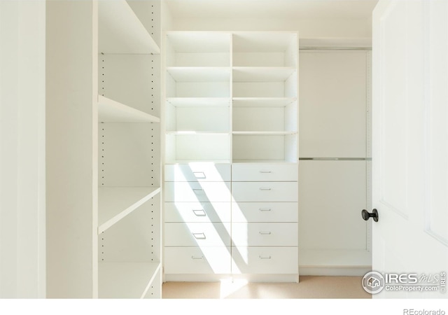 view of spacious closet